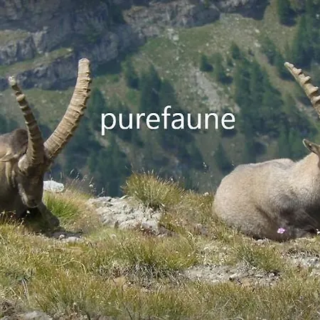 Le Clos Du Berger Le Sauze