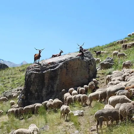 בקתה Le Clos Du Berger *