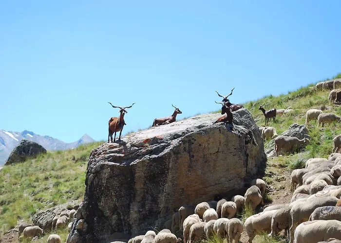 Le Clos Du Berger Le Sauze
