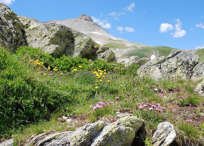 Alpehytte Le Clos Du Berger Le Sauze