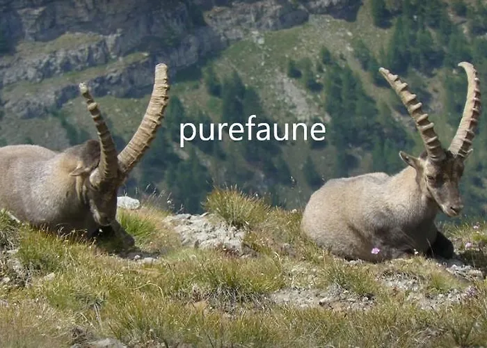 Le Clos Du Berger Le Sauze